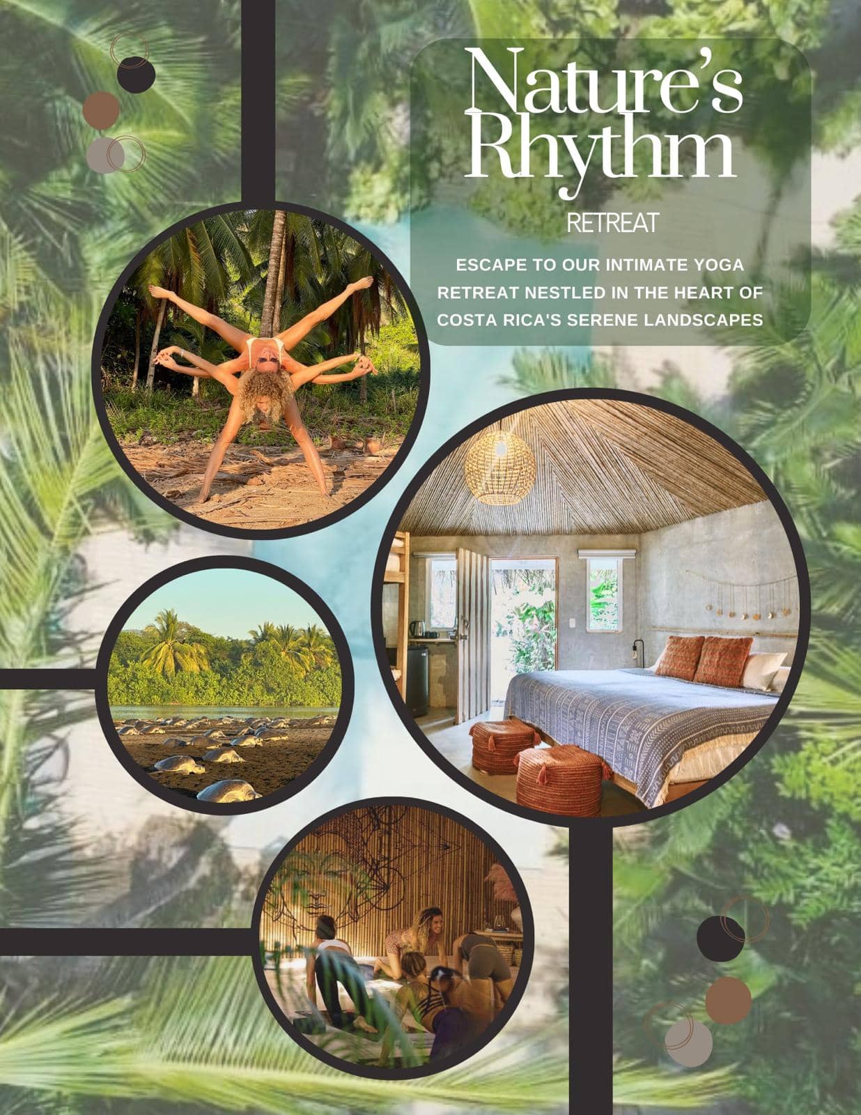 nature rhythm retreat details costa rica